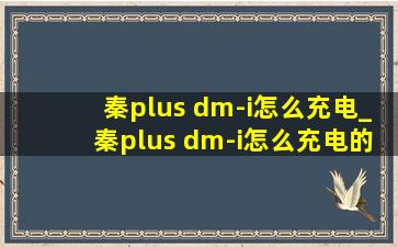 秦plus dm-i怎么充电_秦plus dm-i怎么充电的